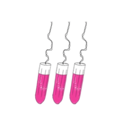 sisters-republic-de-die-sisters-republic-periodenunterwasche-entdecke-die-hubschen-menstruationshoschen-die-deine-binden-und-tampons-ersetzen-die-bequeme-supersaugfahige-periodenunterwasche-halt-bis-zu-12h-dicht-mit-unseren-hoschen-aus-antibakteriellem-oeko-tex-gewebe-fuhlst-du-dich-frisch-und-leicht-wie-an-normalen-tagen