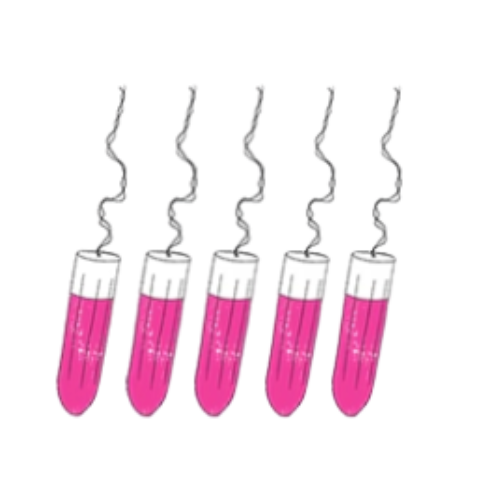 sisters-republic-de-die-sisters-republic-periodenunterwasche-entdecke-die-hubschen-menstruationshoschen-die-deine-binden-und-tampons-ersetzen-die-bequeme-supersaugfahige-periodenunterwasche-halt-bis-zu-12h-dicht-mit-unseren-hoschen-aus-antibakteriellem-oeko-tex-gewebe-fuhlst-du-dich-frisch-und-leicht-wie-an-normalen-tagen