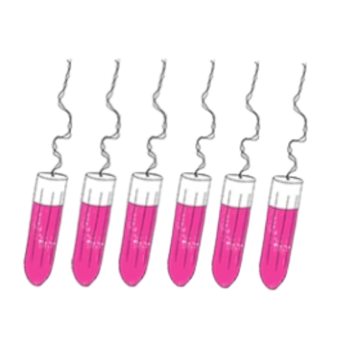 sisters-republic-de-die-sisters-republic-periodenunterwasche-entdecke-die-hubschen-menstruationshoschen-die-deine-binden-und-tampons-ersetzen-die-bequeme-supersaugfahige-periodenunterwasche-halt-bis-zu-12h-dicht-mit-unseren-hoschen-aus-antibakteriellem-oeko-tex-gewebe-fuhlst-du-dich-frisch-und-leicht-wie-an-normalen-tagen